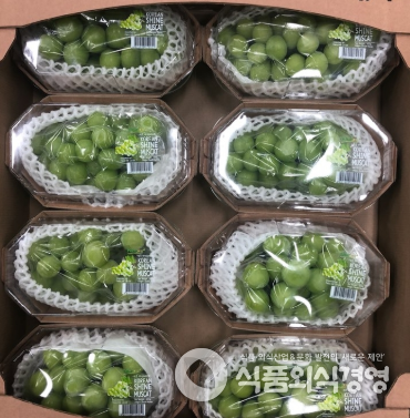 제철과일(사과, 배) 꾸준한 인기, 받고 싶은 과일품목 1위로 샤인머스캣 등장