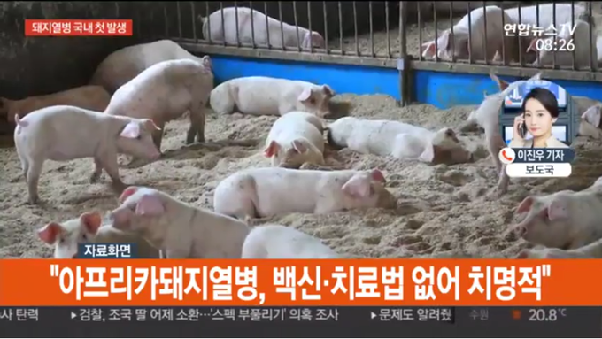 연합뉴스 TV 화면 캡져.