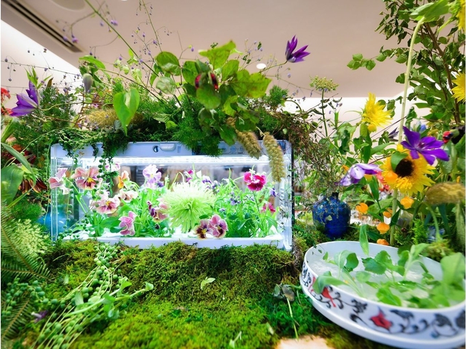 ‘EDIBLE FLOWER’ 매장 내부