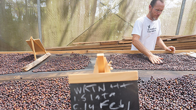 사진=gesharycoffee.com