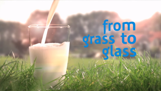 사진=FrieslandCampina 유튜브 캡처