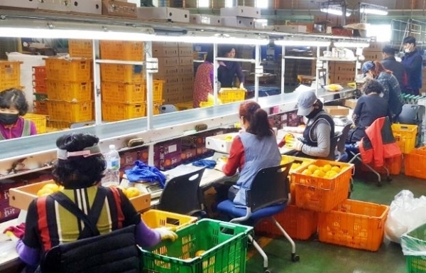 사진제공=한국농수산식품유통공사