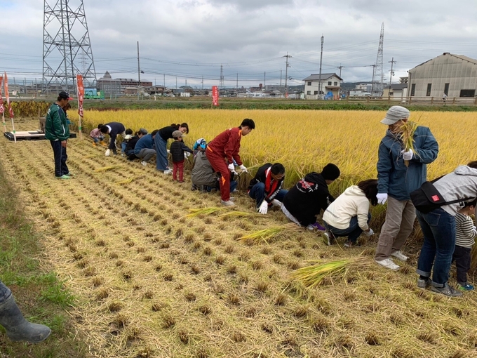 사진= miyamotofarm
