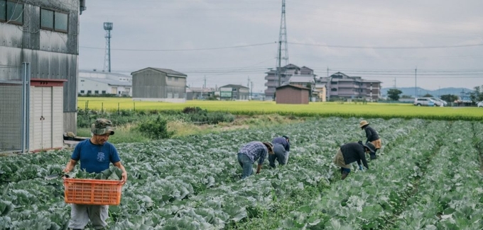 사진= miyamotofarm