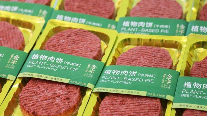 사진=진즈햄