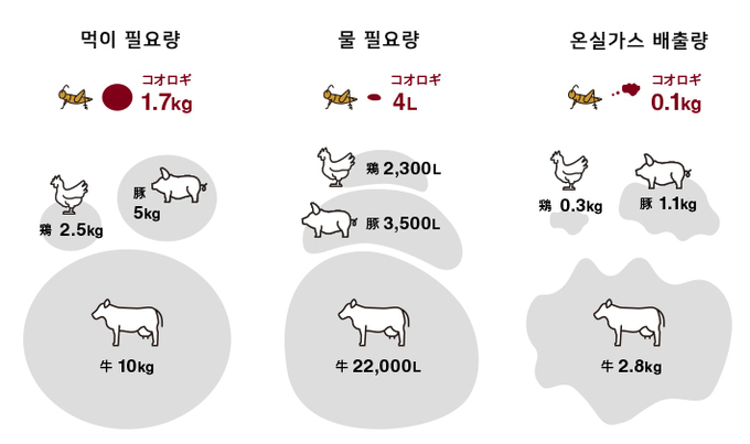 자료=muji.com