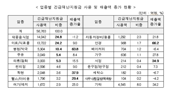 자료제공=행정안전부
