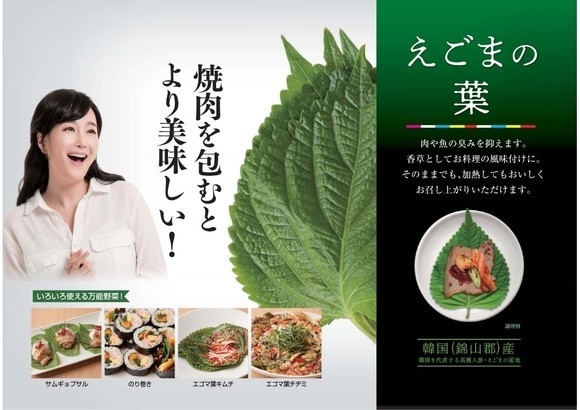 일본 유통매장 판촉행사 홍보물