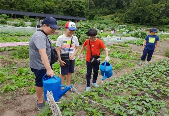 도시텃밭 사업을 통해 먹거리 생산에 참여하는 아이들 / 사진제공=서울시
