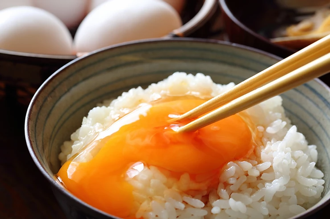 사진제공=TKG研究所