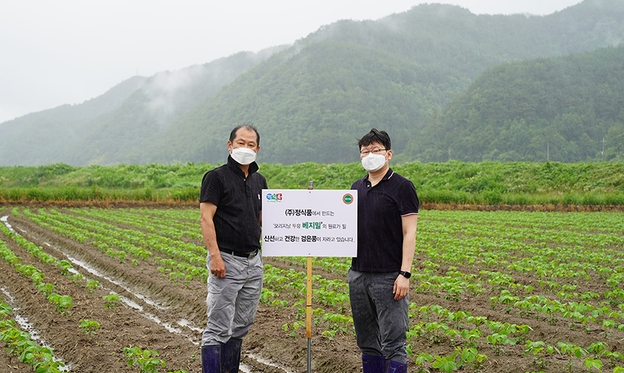 사진=정식품