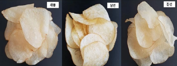 새봉, 남선, 진선 감자칩 / 농촌진흥청