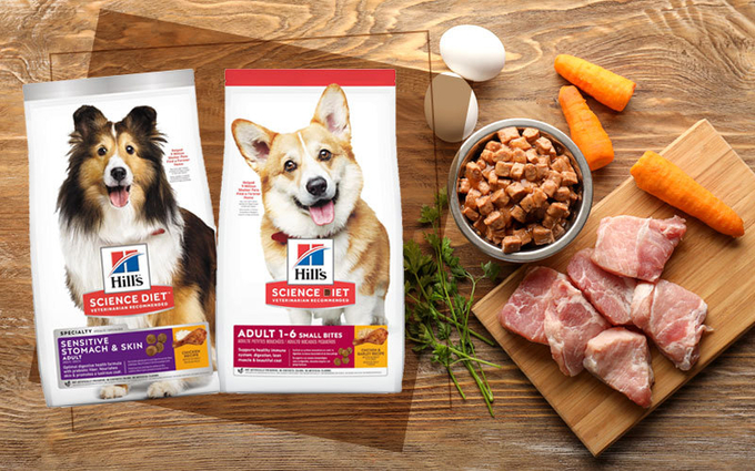 사진=pet.kapook.com