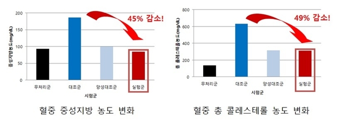 여름철 호흡기 건강에 좋은 도라지 / 사진제공=농촌진흥청