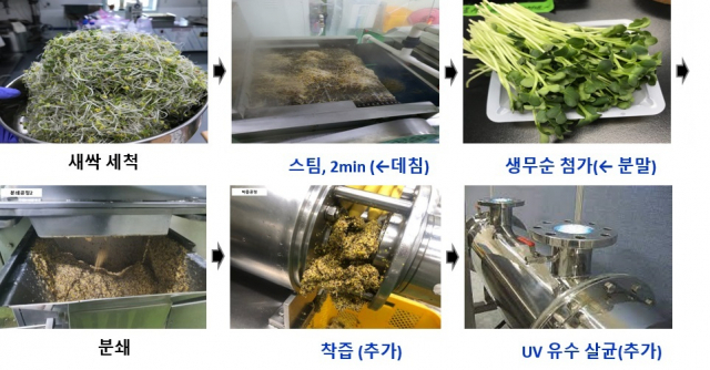 브로콜리 새싹 설포라판 증진 기술 / 자료제공=농촌진흥청