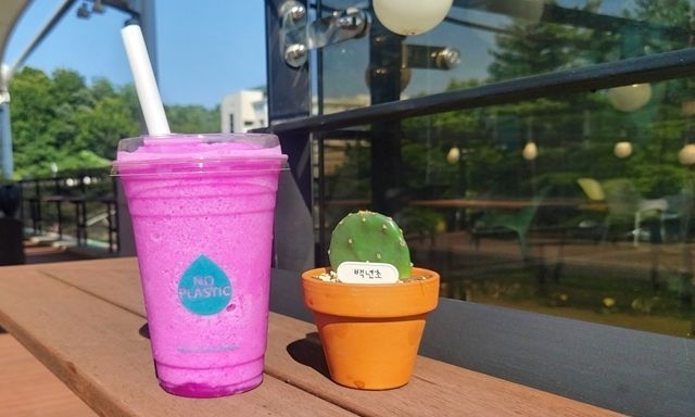 고야청년카페 백년초요거트스무디