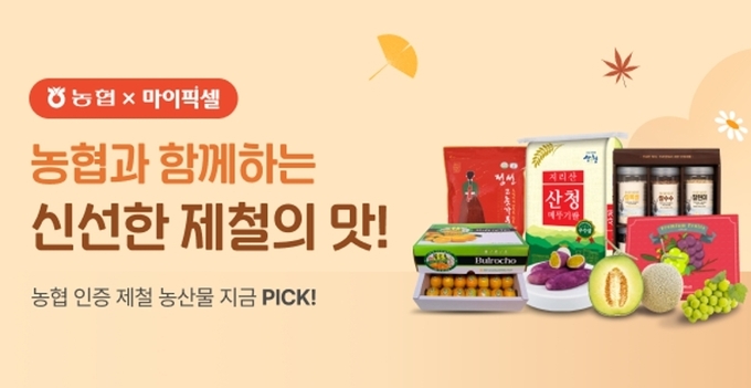 마이픽셀 내 농협 상품 입점 고객 안내 및 기획전 포스터