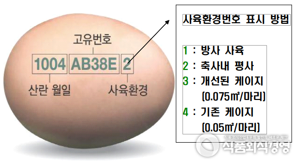 산란일자 표시 예시