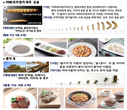 식용곤충 2종의 특성