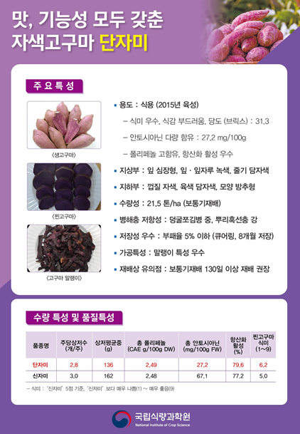 국내 육성 고구마 품종 설명(김치 재료)