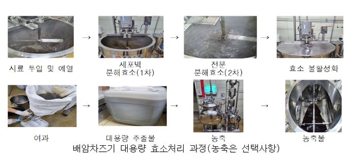 배암차즈기 기능성분 증진 기술