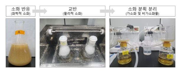 반려견 체외 조단백질 소화율 측정 방법