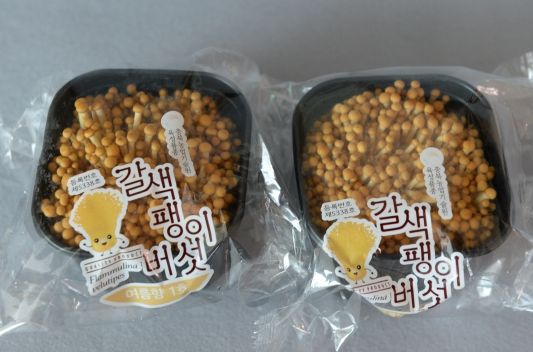 충북도 백종원이 찾았던 갈색 팽이버섯, 경남까지 진출