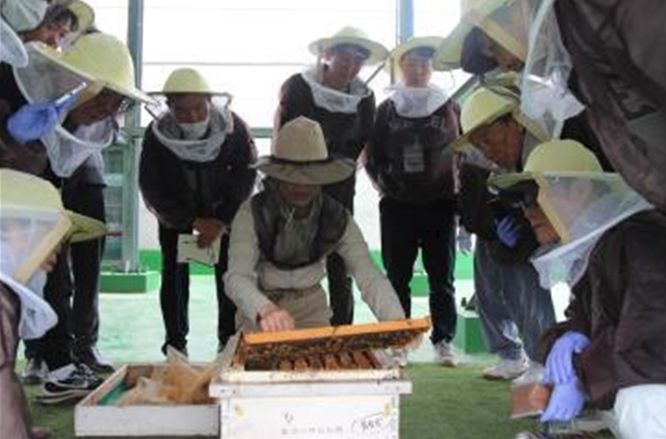 양봉 전문가 교육과정(양봉 실습)