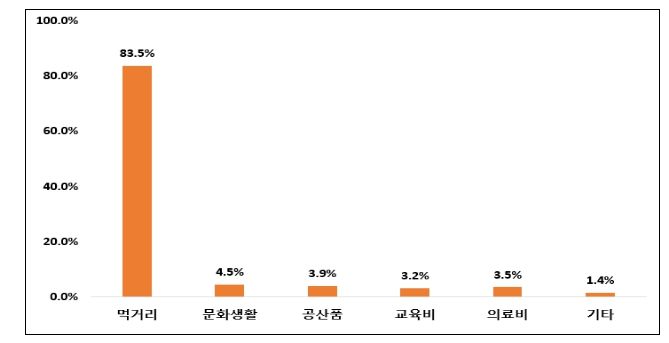 민생회복 소비쿠폰 사용용도