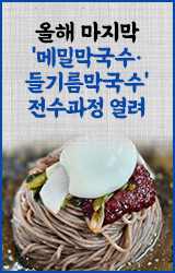 배너