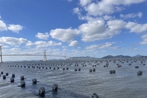 K-푸드 수출 선도하는 '김'의 질주! 역대 최초 10억 불 돌파 화제