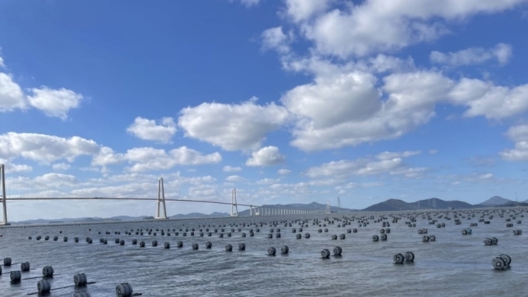 K-푸드 수출 선도하는 '김'의 질주! 역대 최초 10억 불 돌파 화제