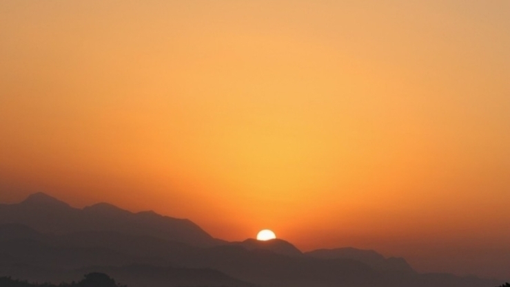 [식품외식경영 공지] 2026년 병오년(丙午年) 신년사