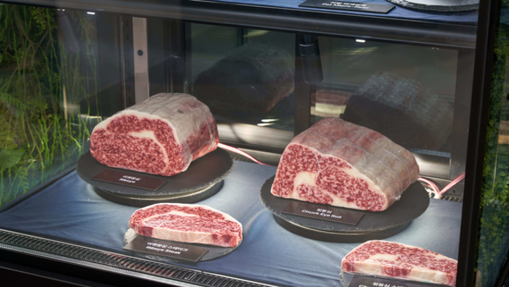 티센바이오팜, 세계 최초로 실제 고기와 동일한 수준의 세포 수 구현