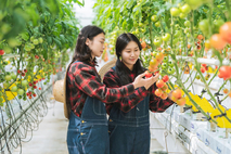 농림축산식품부, '23년 농식품산업 부가가치 211조 원, 전체 산업의 8.9 차지하는 것으로 나타나
