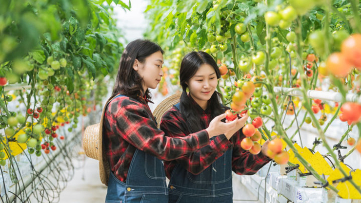 농림축산식품부, '23년 농식품산업 부가가치 211조 원, 전체 산업의 8.9 차지하는 것으로 나타나