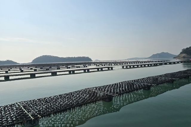 K-씨푸드 2025년 수출 33억 달러 돌파… 역대 최대 실적 달성