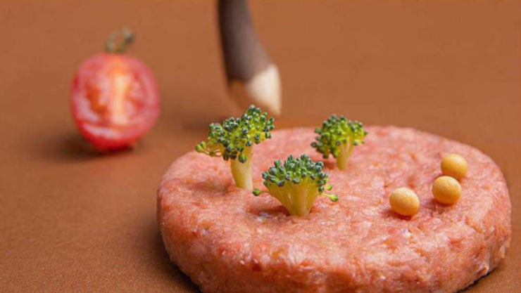 고품질 배양육 생산 혁신, 실마리 찾아낸 건국대 연구팀