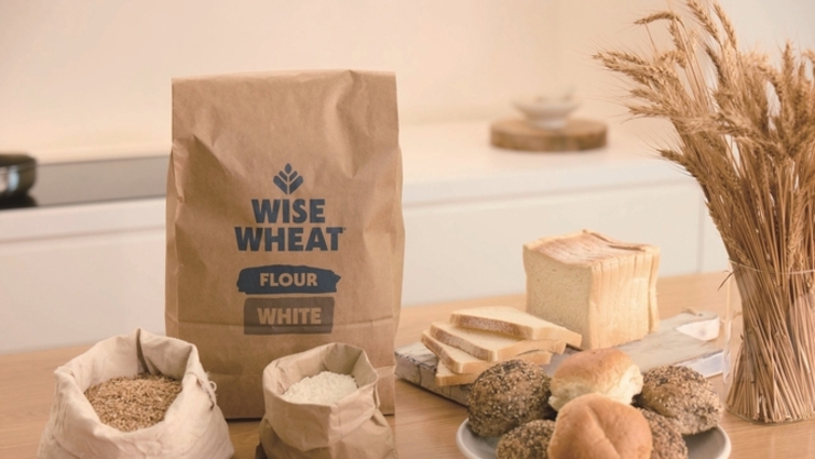 [이슈키워드] 일상이 된 웰니스(Wellness)ㅣPart 2