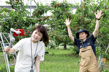 [창농·창업] 농촌의 미래를 바꿀 '농촌 소셜창업 청년 서포터즈'를 모집합니다!