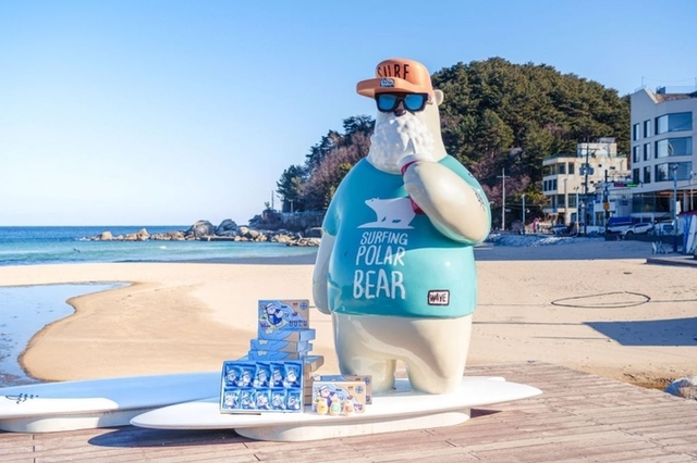 [식품오늘] 양양, 자체 개발 디저트 ‘양양한입’ 인기! 누적 매출 1억 7천만 원 돌파