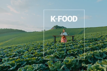 2026년 1분기 케이-푸드 플러스(K-푸드+)수출은 전년 대비 3.5 증가한 33.5억 달러