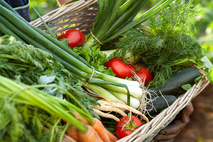 [식품오늘] 온라인 유통 친환경인증품 '촘촘한' 관리로 소비자 신뢰 높인다!