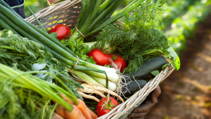 [식품오늘] 온라인 유통 친환경인증품 '촘촘한' 관리로 소비자 신뢰 높인다!