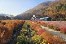 2026년 전통주 관광·체험 공간 '찾아가는 양조장' 5개소 신규 선정