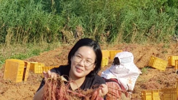 전남도, 10월의 친환경농산물에 '무안 착한고구마' 선정