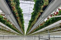 [창농·창업] 경남도, 청년농업인을 위한 대규모 농지 공급!