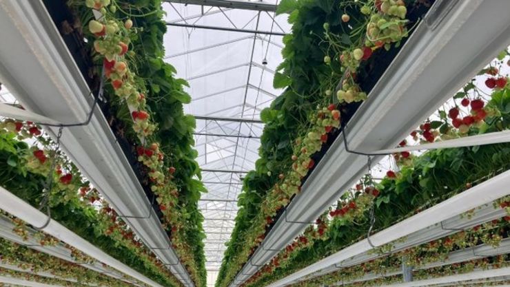 [창농·창업] 경남도, 청년농업인을 위한 대규모 농지 공급!