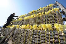 [기획] 천년의 바람이 만든 이름, '영광굴비'