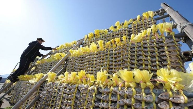 [기획] 천년의 바람이 만든 이름, '영광굴비'